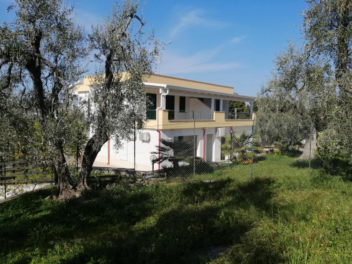 Villa Elisa Vieste Zewnętrze zdjęcie