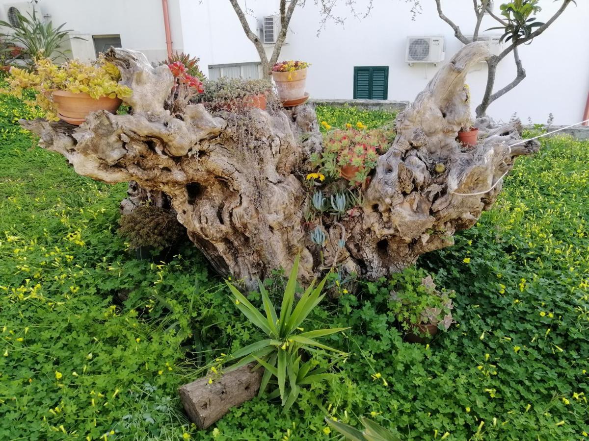 Villa Elisa Vieste Zewnętrze zdjęcie